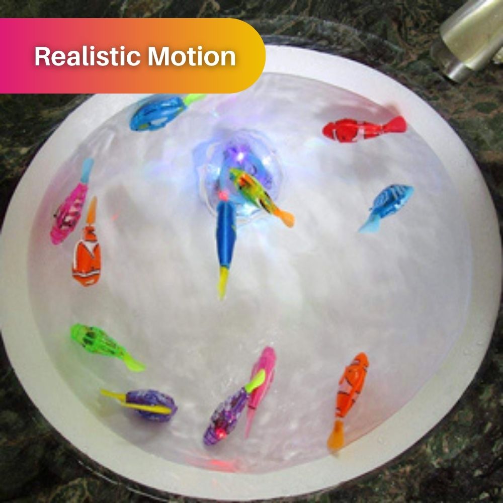 Speelset voor Katten - AquaPurr