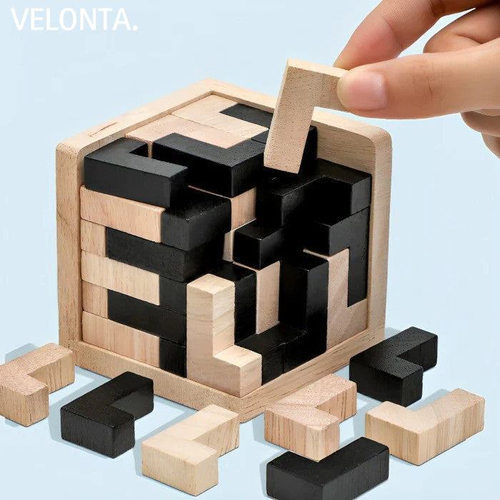 3D Houten Breinbreker - PuzzleMaster