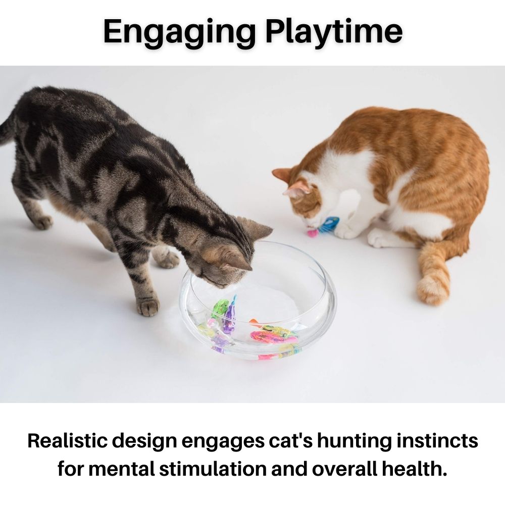 Speelset voor Katten - AquaPurr