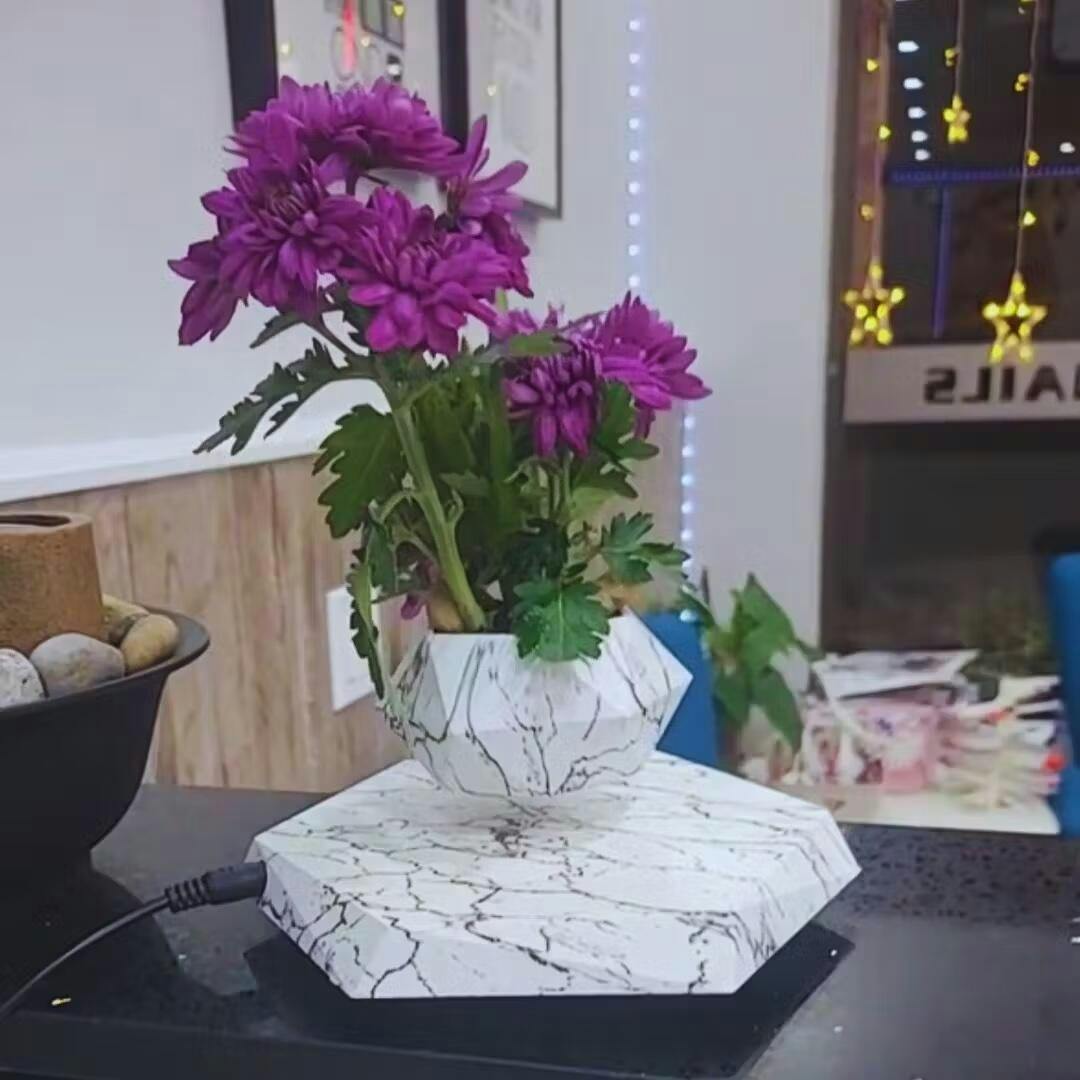 Zwevende Planthouder met Magnetische Levitatie - Liva