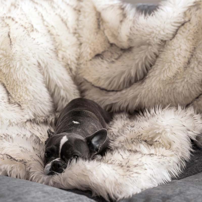 Luxe Waterdichte Huisdierendeken - CozyPaw™