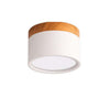 Morandi Stijl Moderne LED Plafondlamp - LumiModo