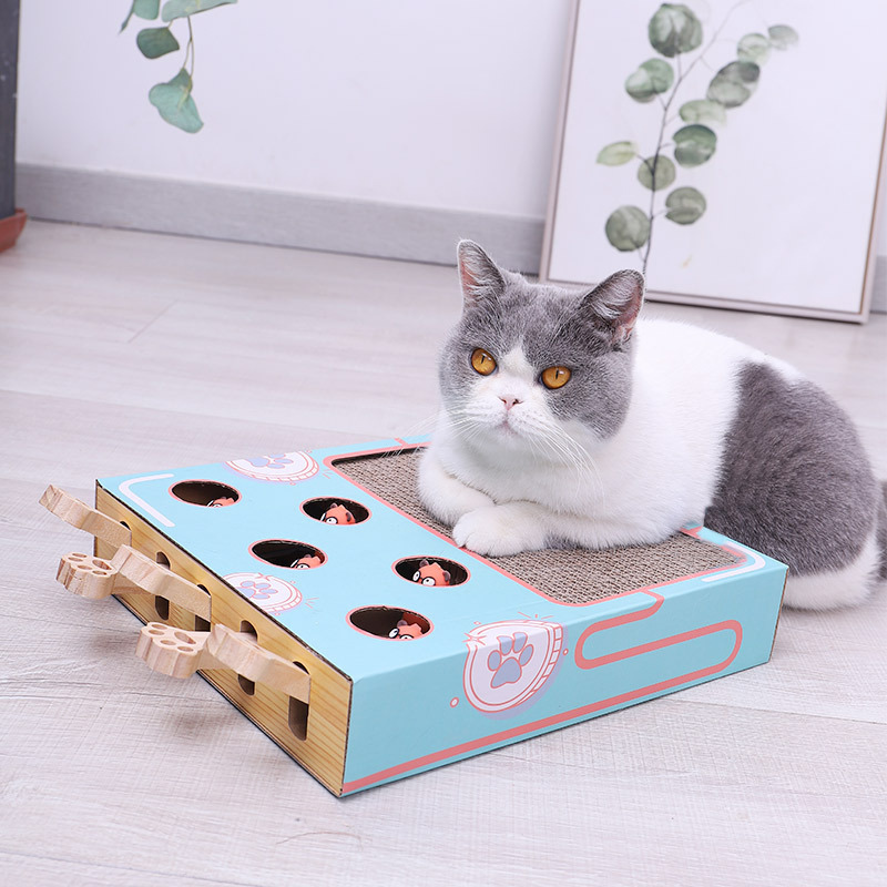 3-in-1 Interactief Kattenspeelgoed - WhiskerPlay