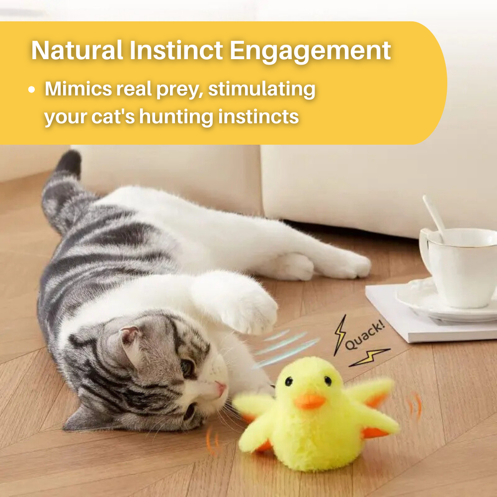 Flappende Eend Speelgoed voor Katten - DuckDash™ (1+1 GRATIS)