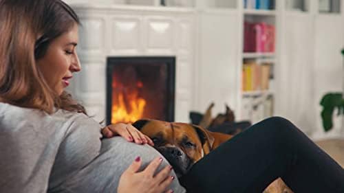 LuxeFit High-Waisted Leggings - Selene