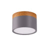 Morandi Stijl Moderne LED Plafondlamp - LumiModo