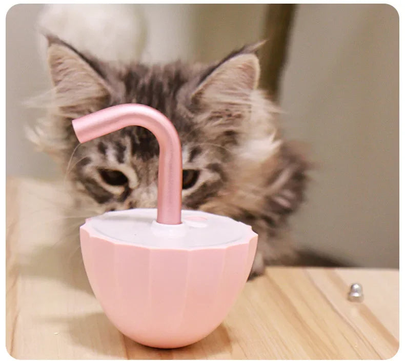 Kattenspeeltje met Laser - LaserChase
