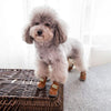 Warme Honden Snowboots - SnowPaws