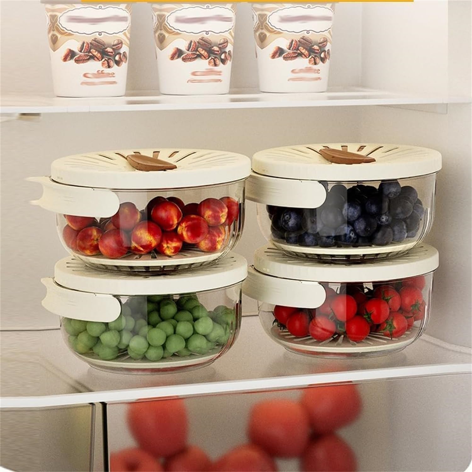 Fruit- en Groente Vershoud Container - FreshSeal