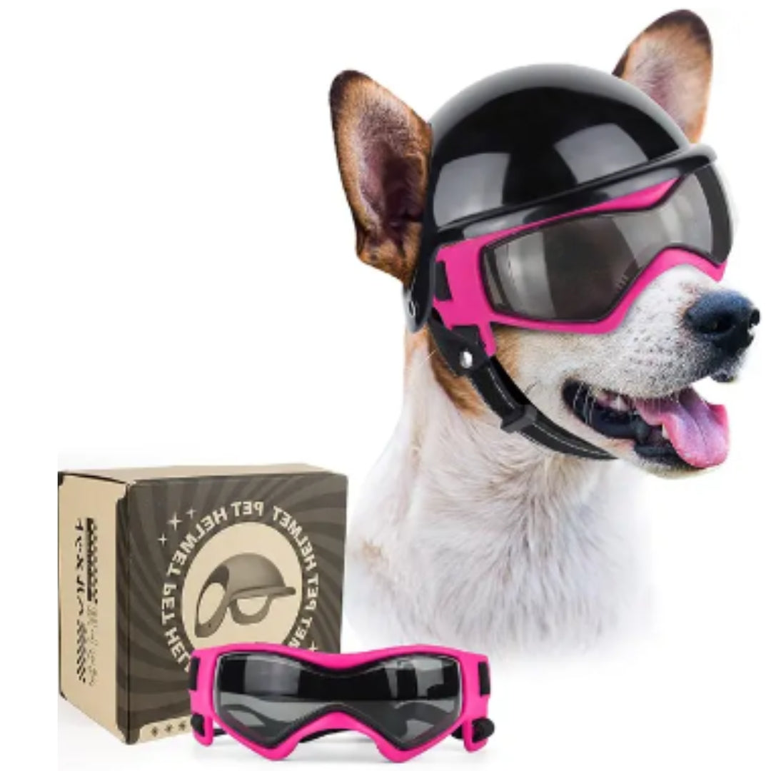 Hondenhelm en Bril - RiderPaw