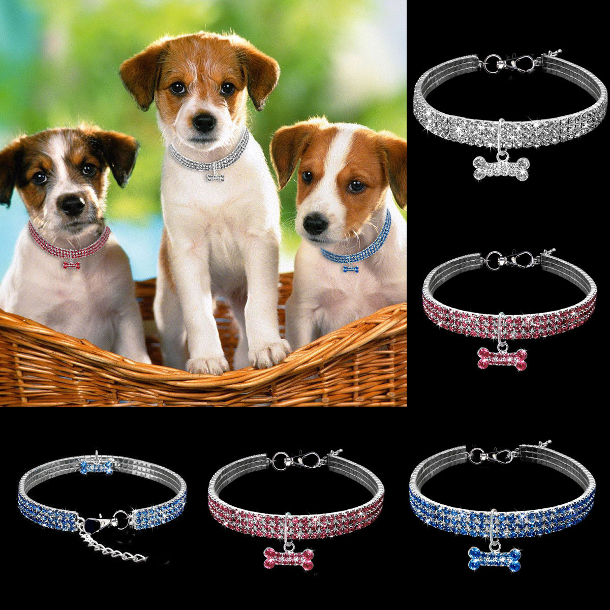 Premium Huisdieren Halsband - Bling It On