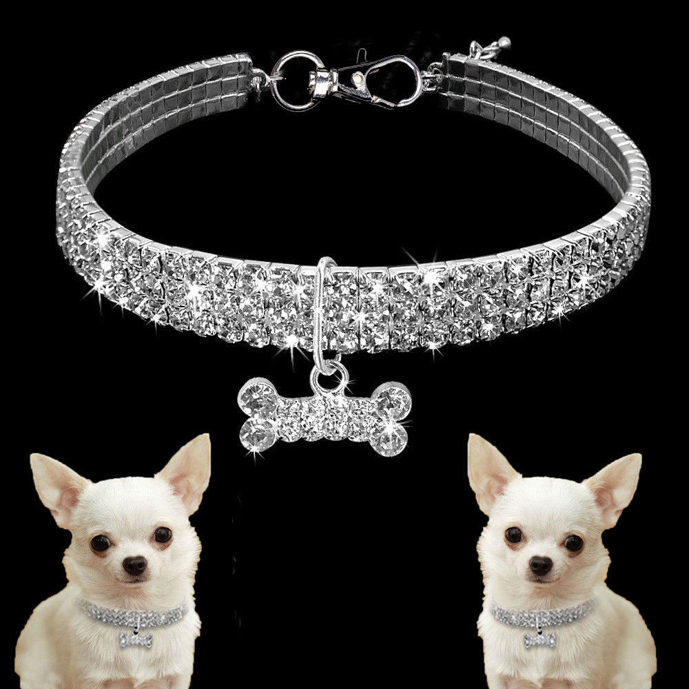 Premium Huisdieren Halsband - Bling It On
