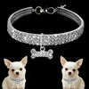 Premium Huisdieren Halsband - Bling It On