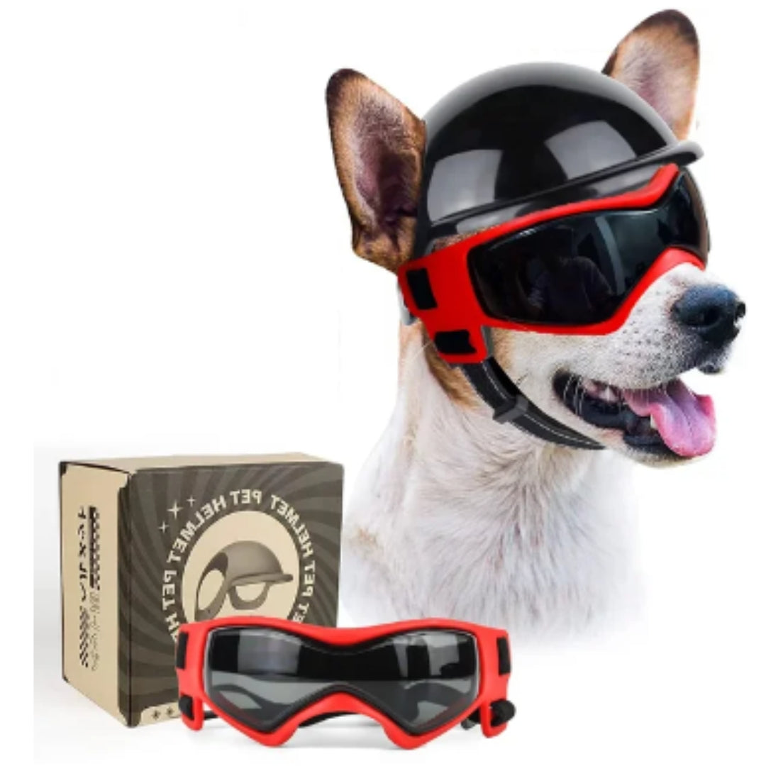 Hondenhelm en Bril - RiderPaw