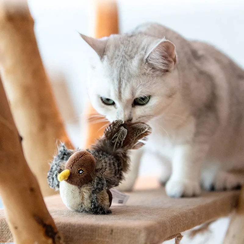 Interactief Kattenspeeltje - ChirpBird