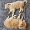 Zachte Puppydeken - SnuggleFur Fleece