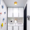 Morandi Stijl Moderne LED Plafondlamp - LumiModo