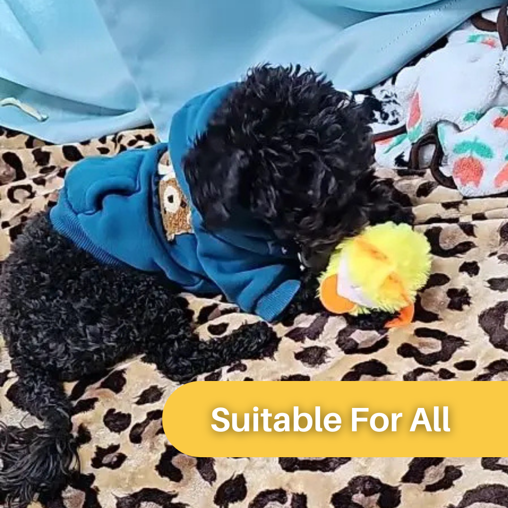 Flappende Eend Speelgoed voor Katten - DuckDash™ (1+1 GRATIS)