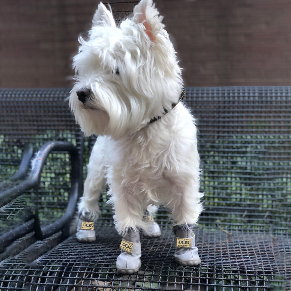 Warme Honden Snowboots - SnowPaws