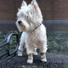 Warme Honden Snowboots - SnowPaws