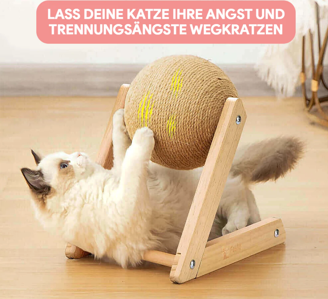 Veelzijdig Kattenspeeltje -  CatScratch Wonderland