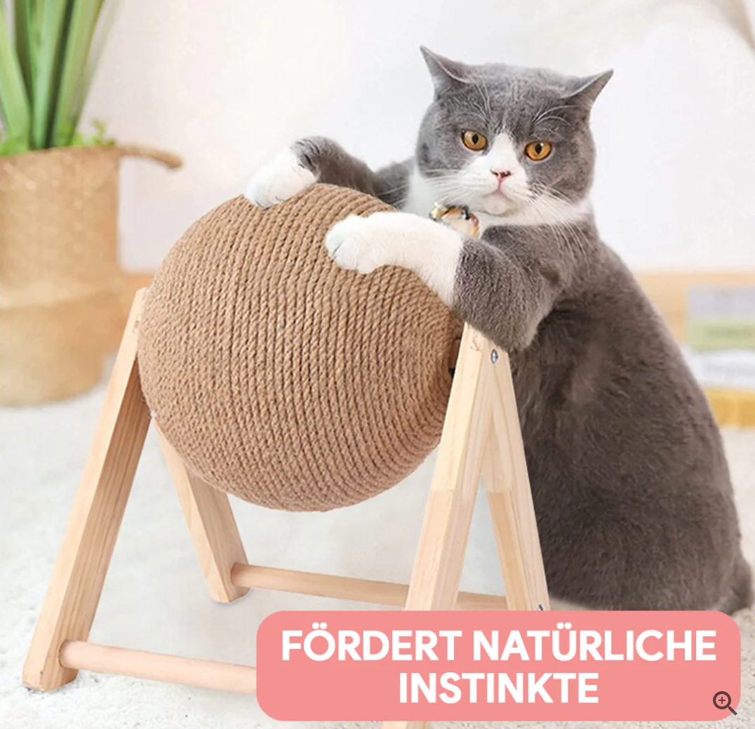 Veelzijdig Kattenspeeltje -  CatScratch Wonderland
