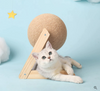Veelzijdig Kattenspeeltje -  CatScratch Wonderland