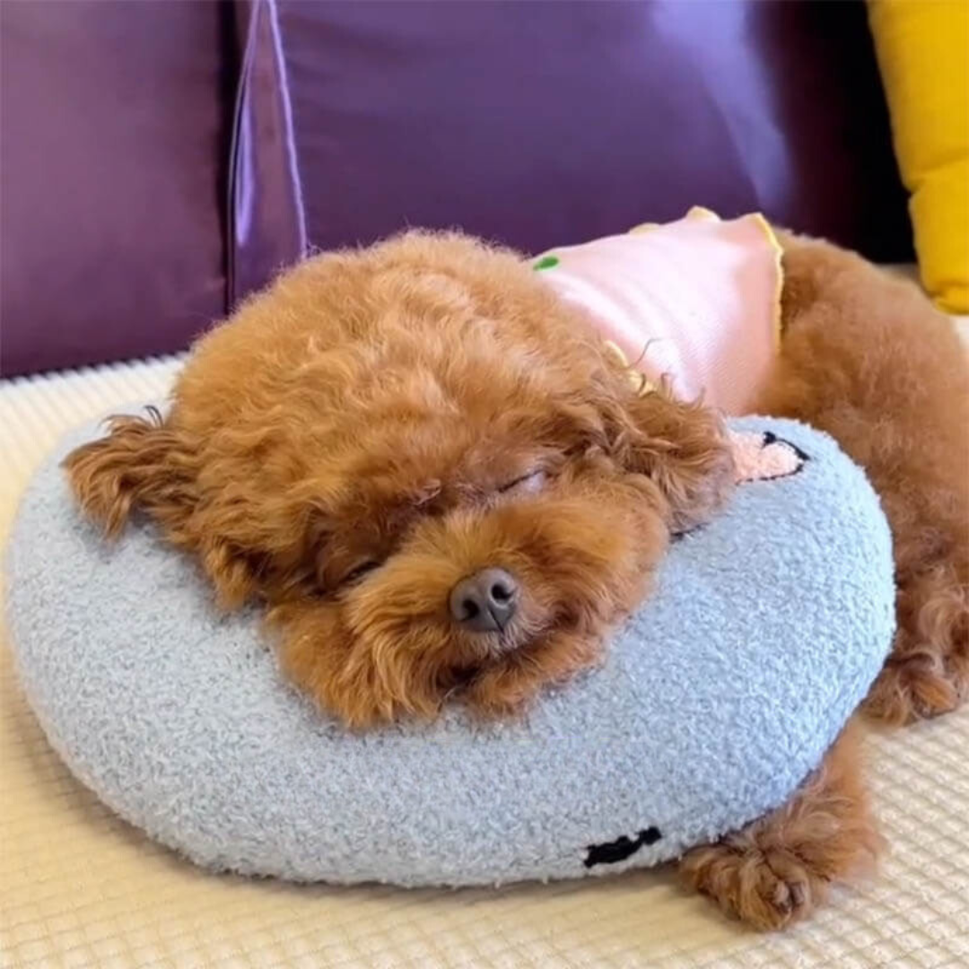 Comfortabel Kussen voor Honden - CalmNest