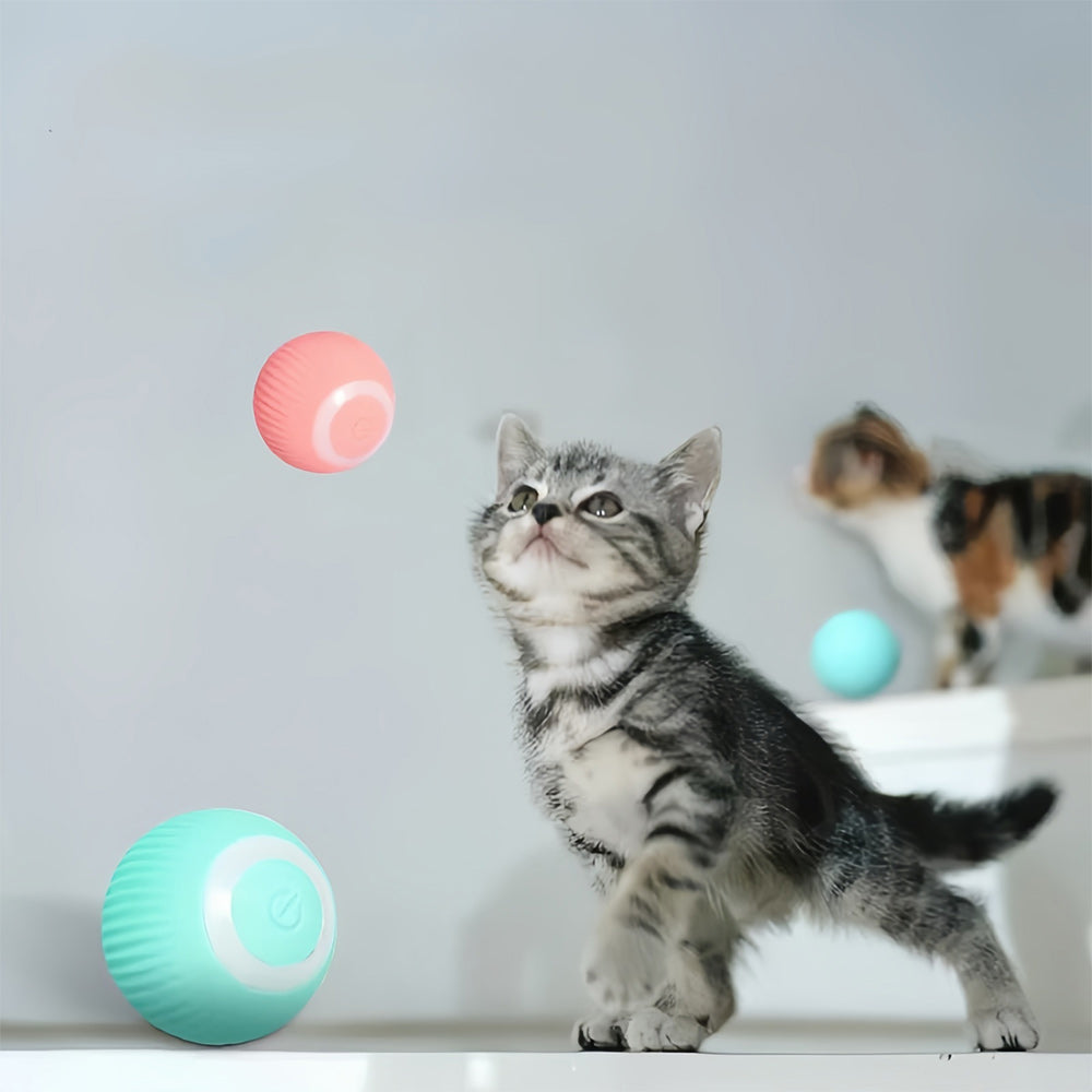 Interactief Bewegend Speeltje voor Katten – WhiskRoll