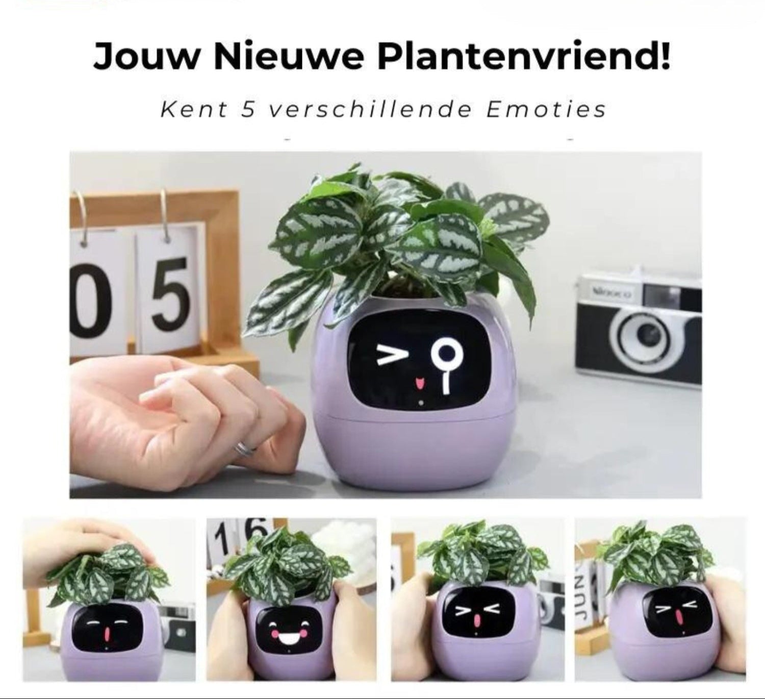 Automatische Smart Bloempot - GreenBuddy SmartPot