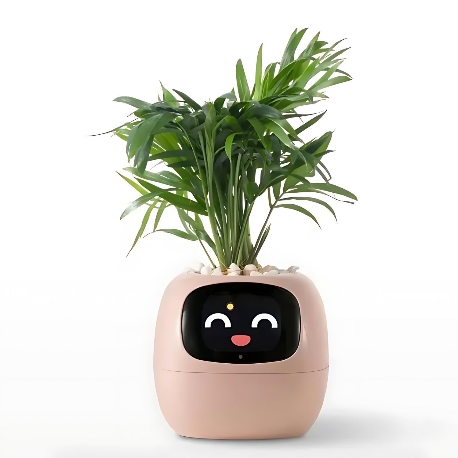 Automatische Smart Bloempot - GreenBuddy SmartPot