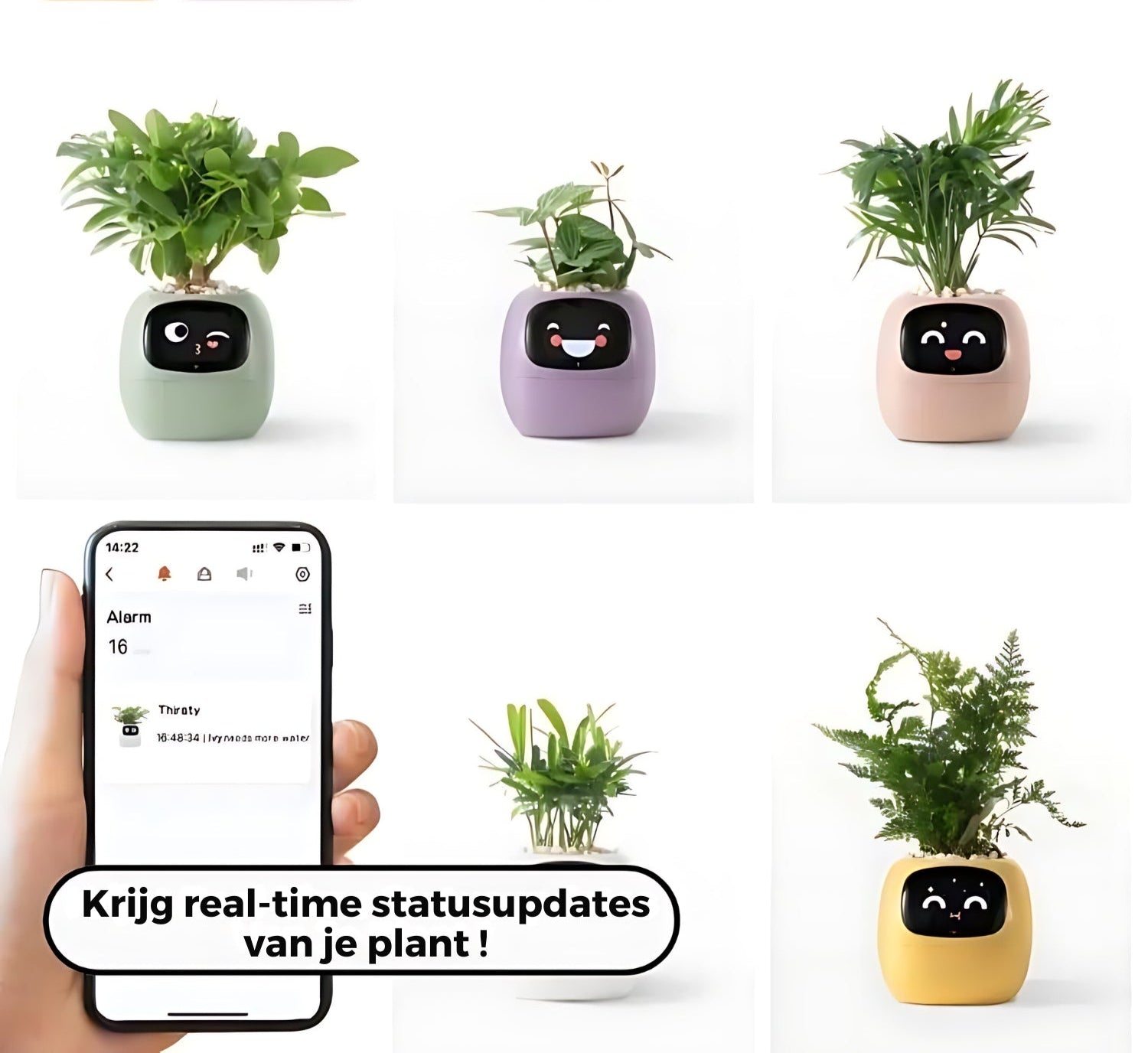 Automatische Smart Bloempot - GreenBuddy SmartPot