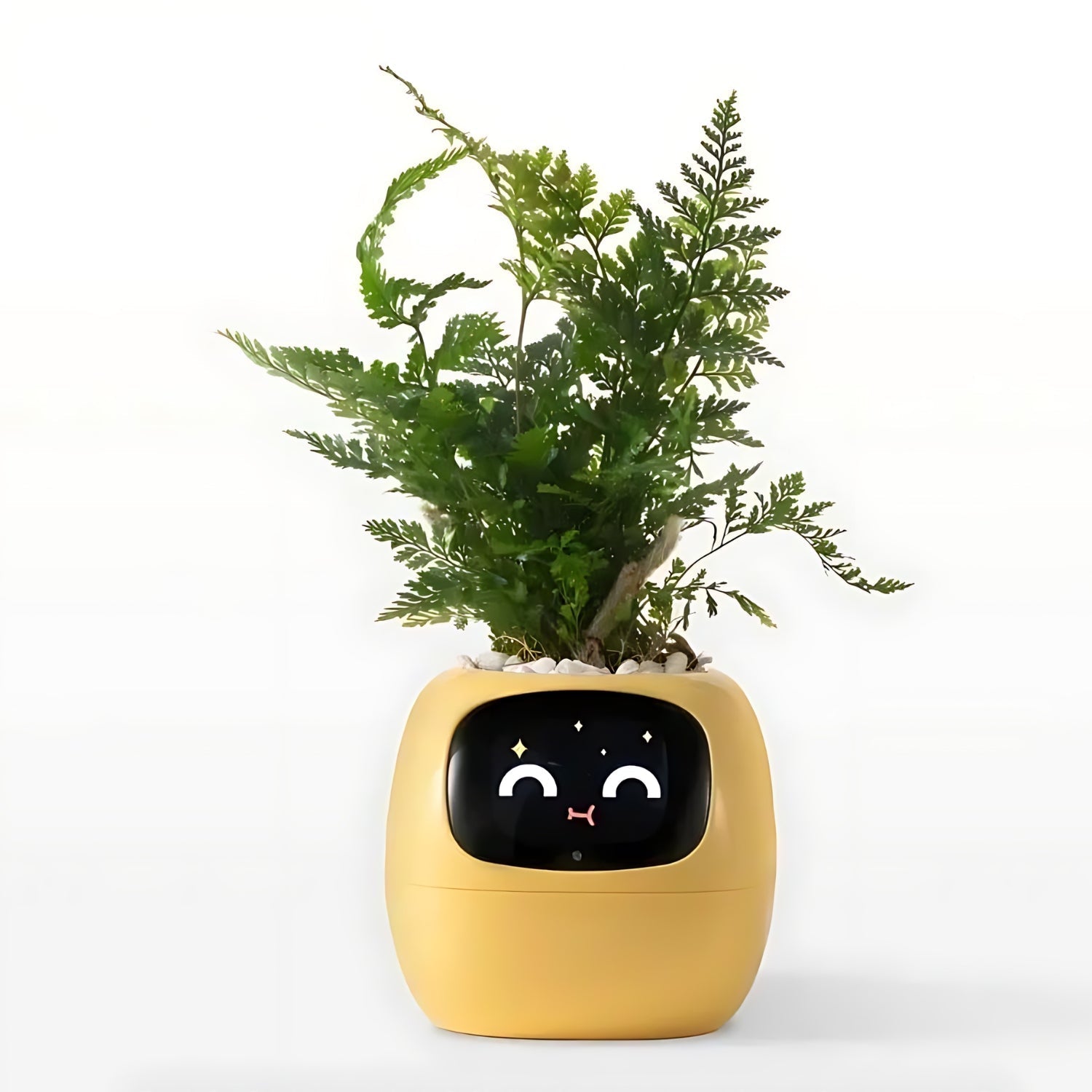 Automatische Smart Bloempot - GreenBuddy SmartPot