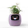 Automatische Smart Bloempot - GreenBuddy SmartPot