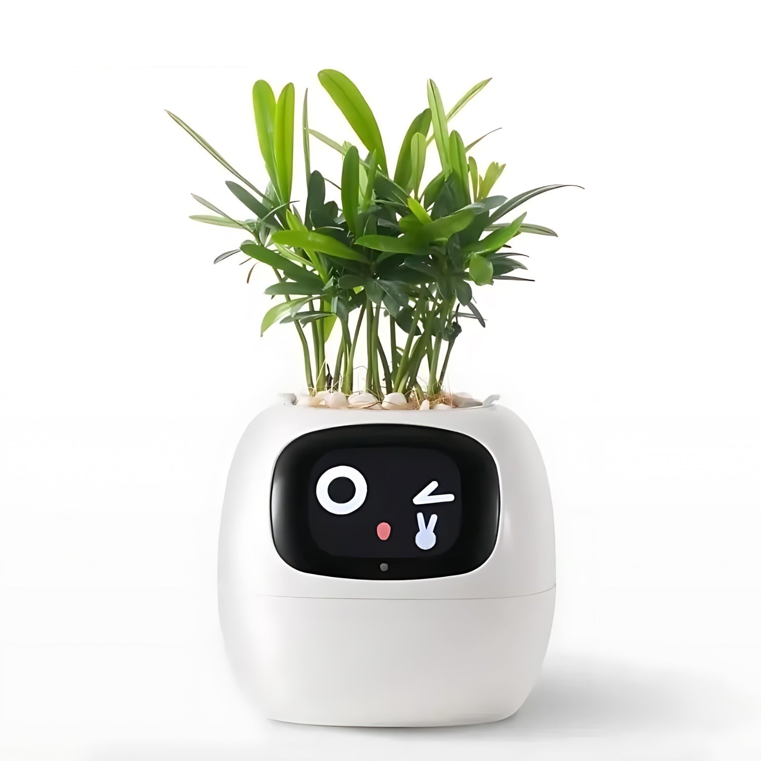 Automatische Smart Bloempot - GreenBuddy SmartPot