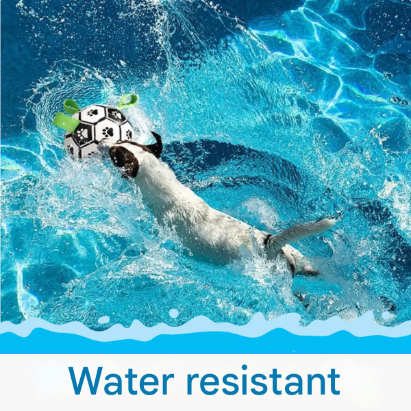 Duurzame Hondenvoetbal met Handvatten – TugBounce