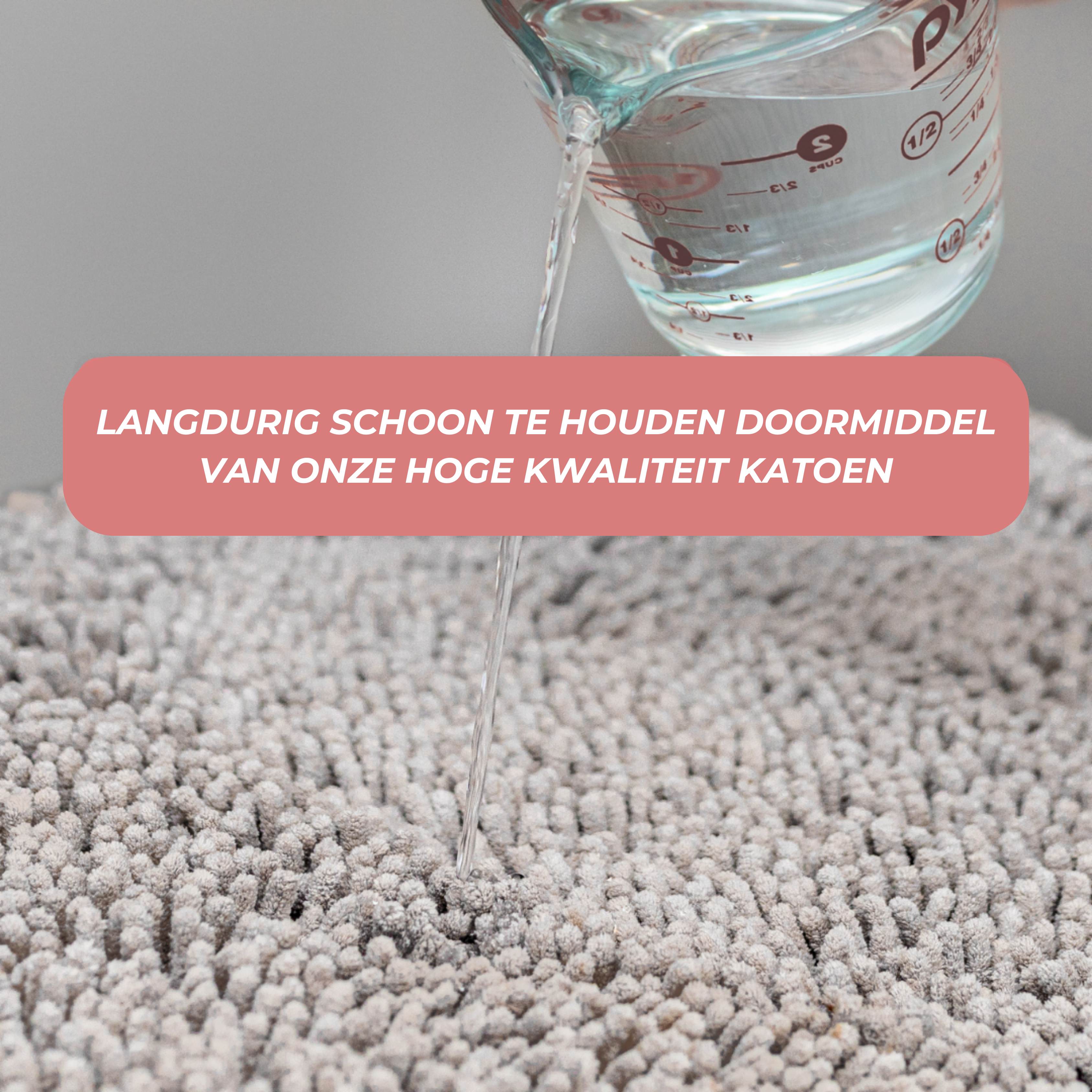 Honden Schoonloopmat - Boris