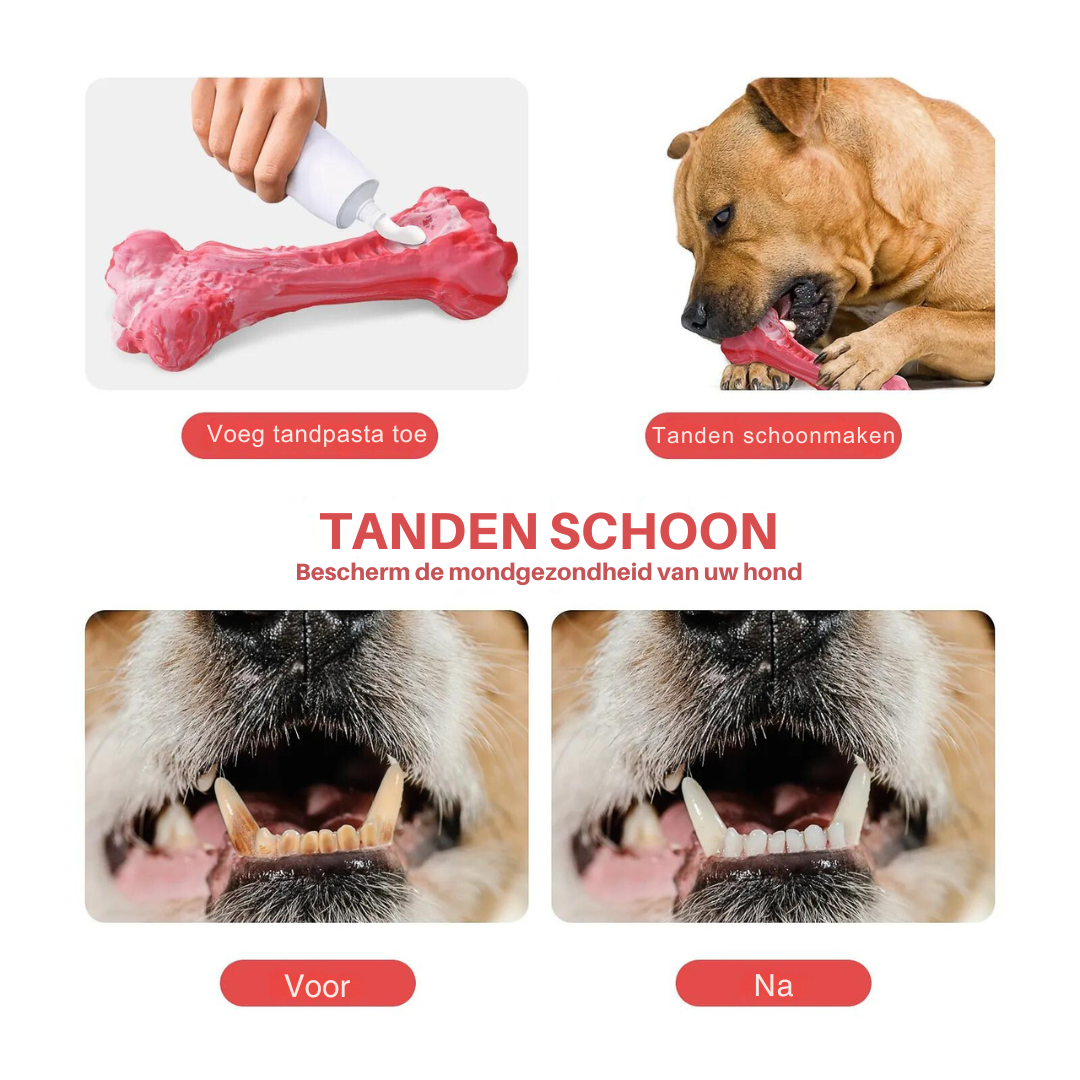 De Speelse Tandverzorger voor Honden - BuddyChew