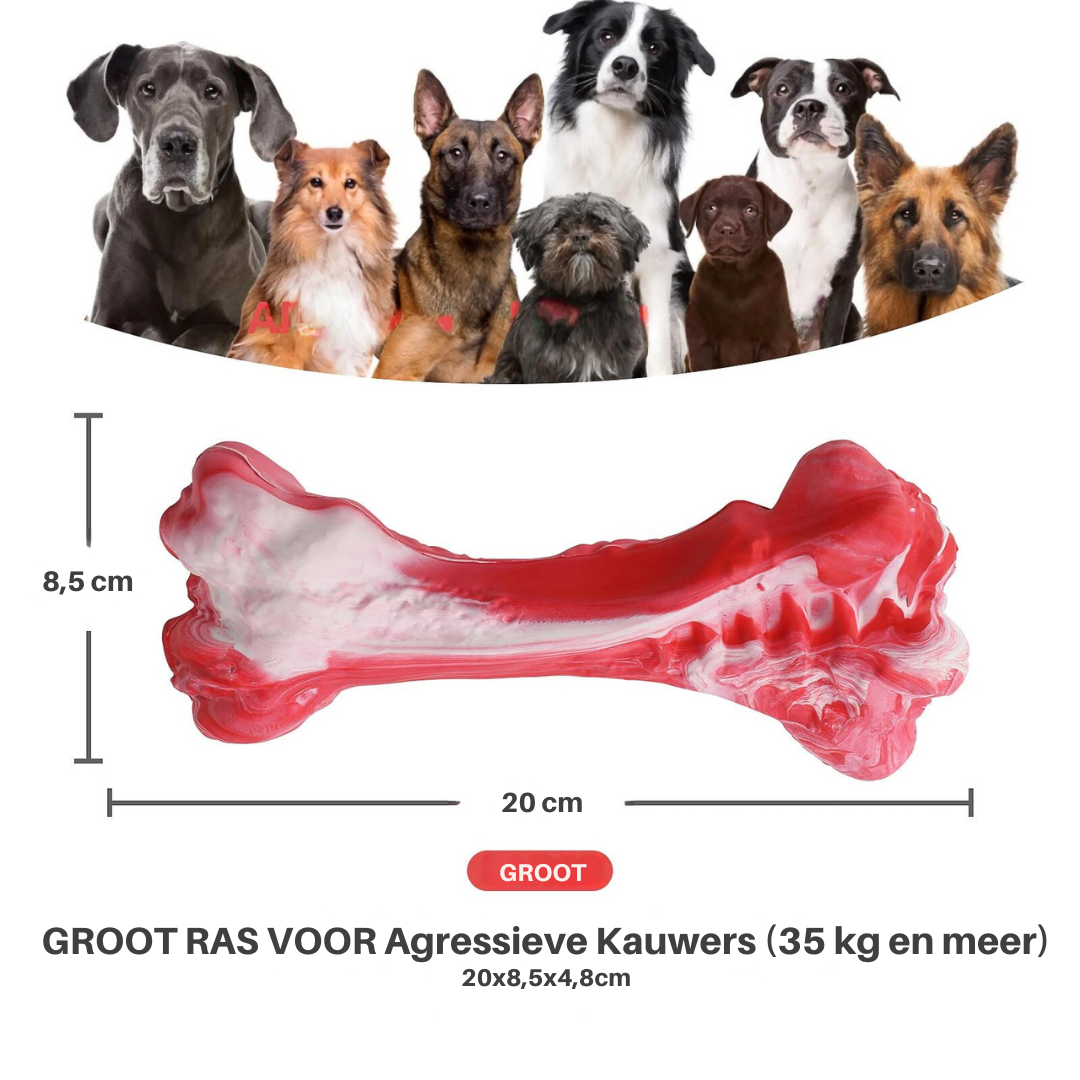 De Speelse Tandverzorger voor Honden - BuddyChew