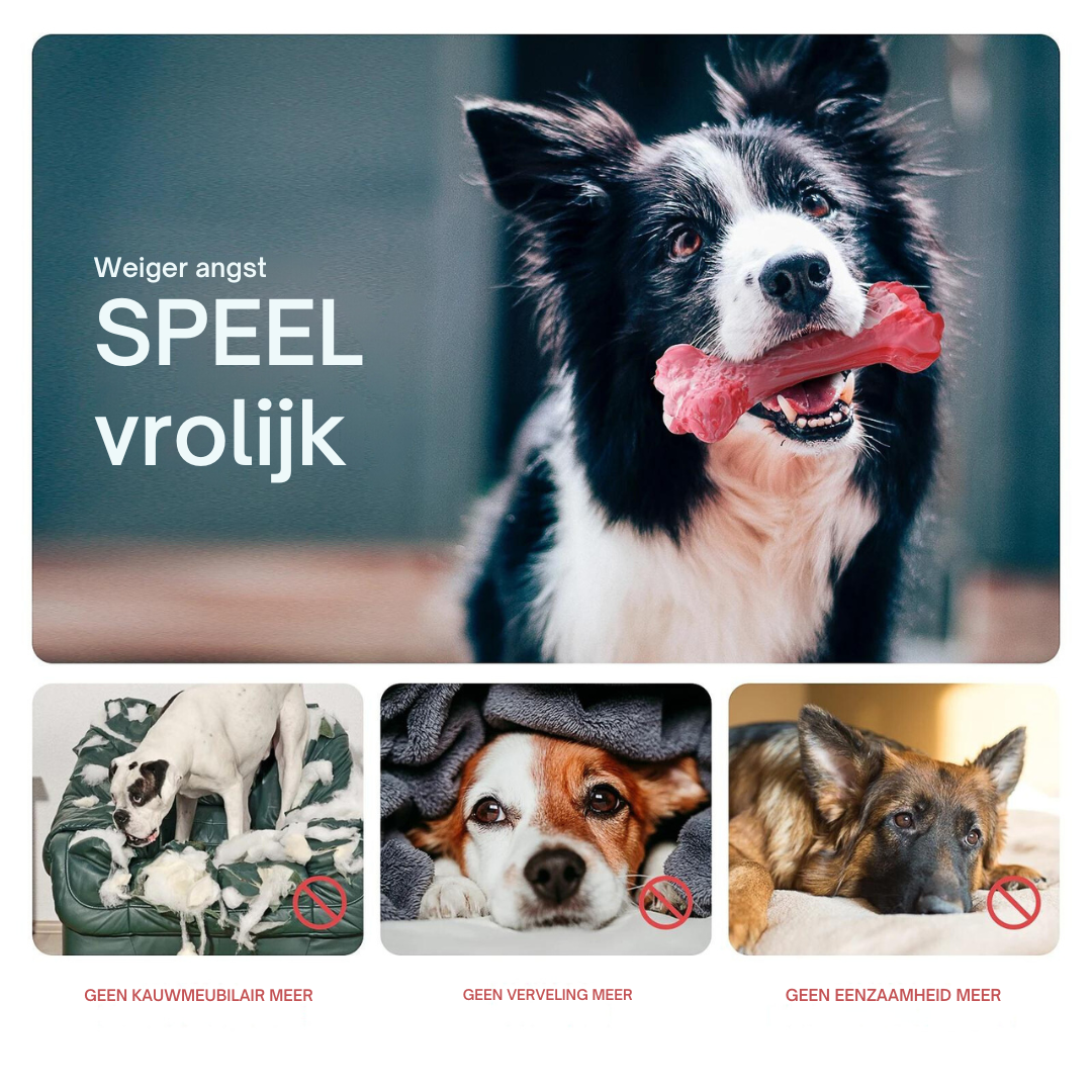 De Speelse Tandverzorger voor Honden - BuddyChew