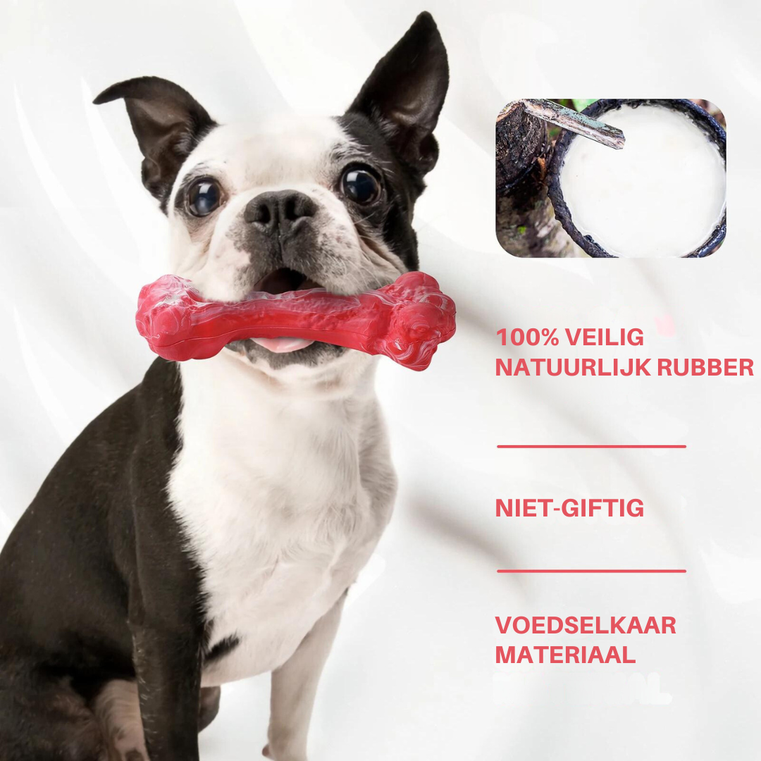 De Speelse Tandverzorger voor Honden - BuddyChew