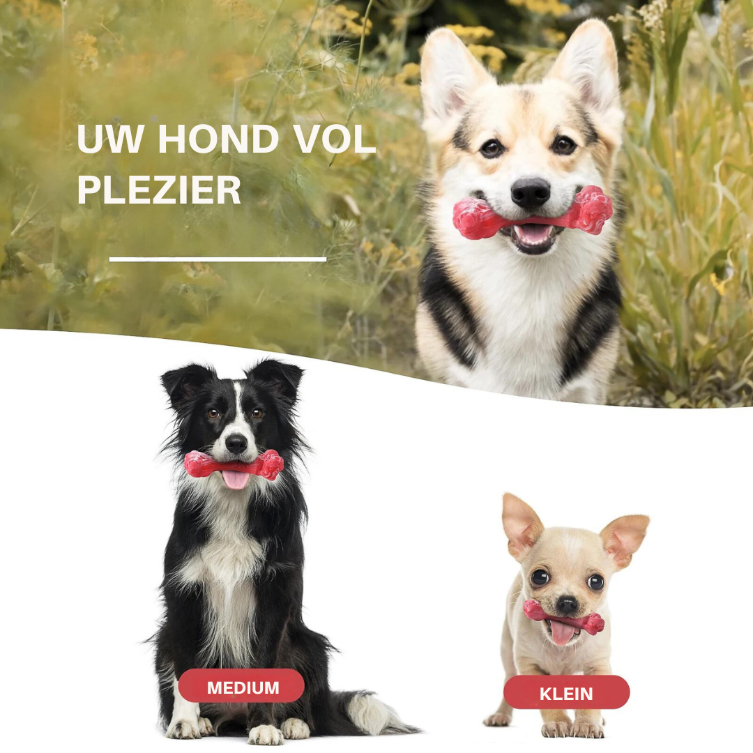 De Speelse Tandverzorger voor Honden - BuddyChew