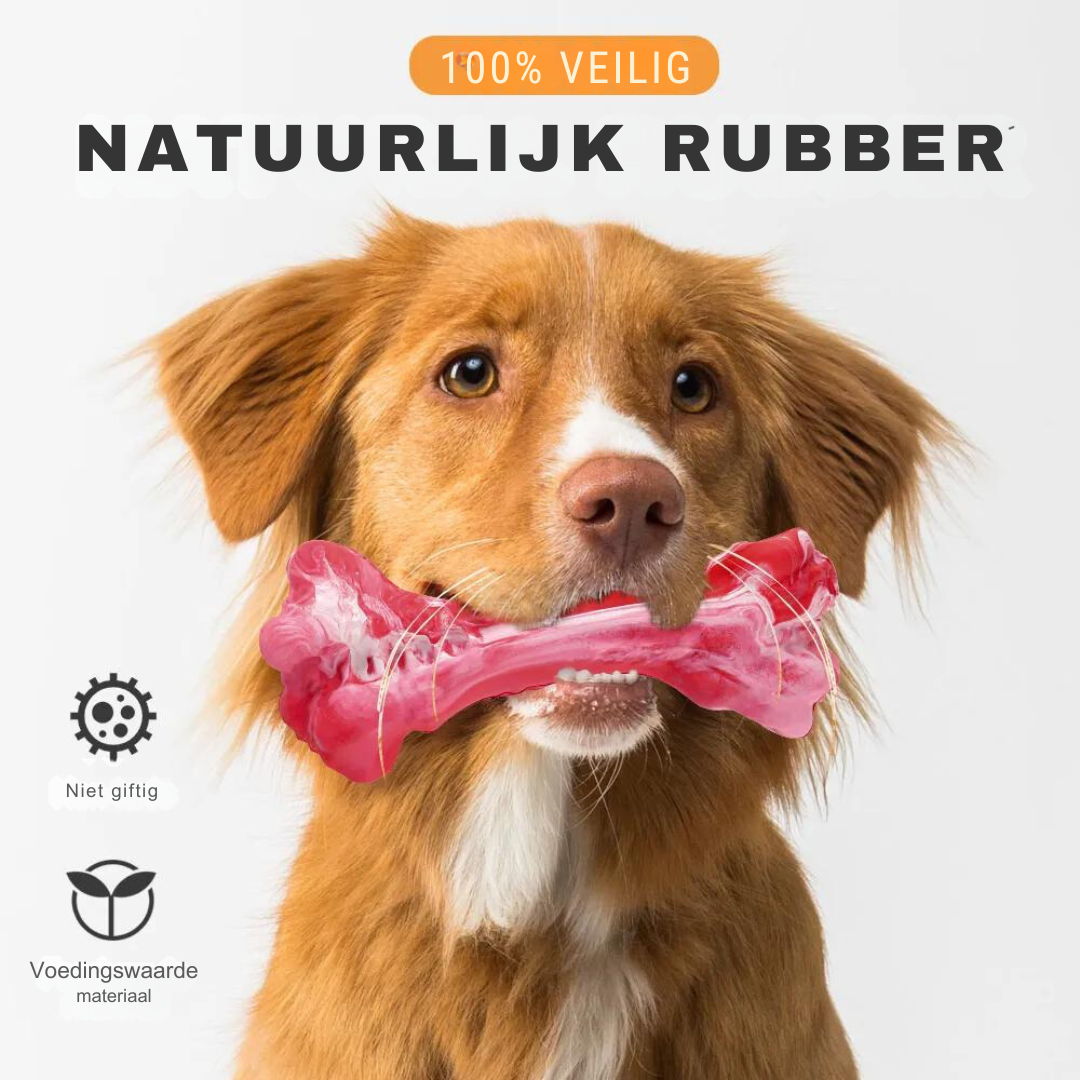 De Speelse Tandverzorger voor Honden - BuddyChew