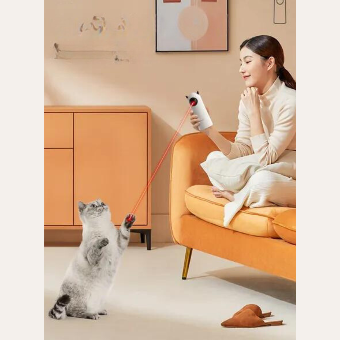 Interactief Laser Kattenspeelgoed - LaserPaw
