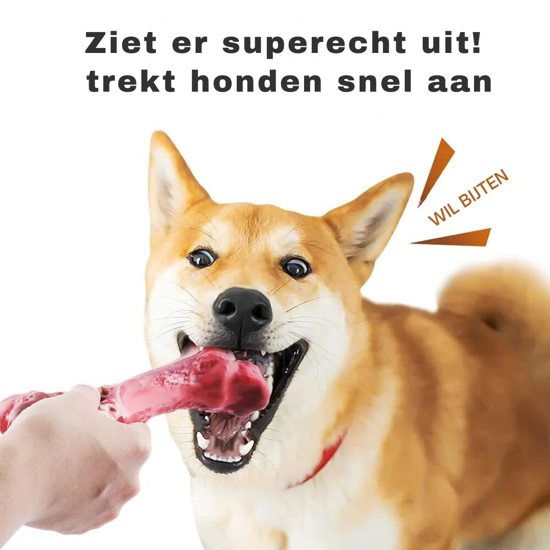 De Speelse Tandverzorger voor Honden - BuddyChew