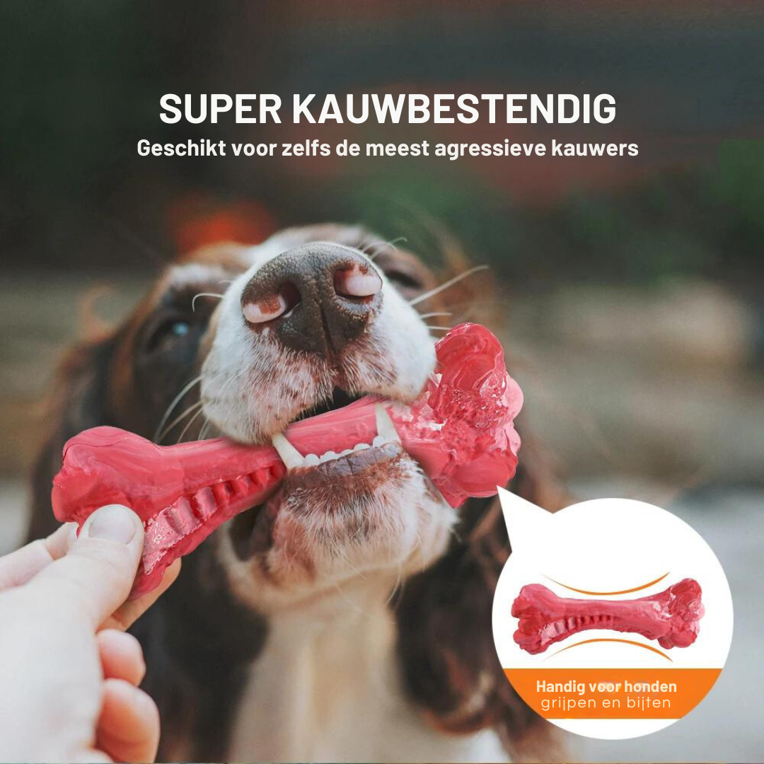 De Speelse Tandverzorger voor Honden - BuddyChew