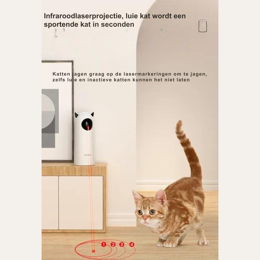 Interactief Laser Kattenspeelgoed - LaserPaw