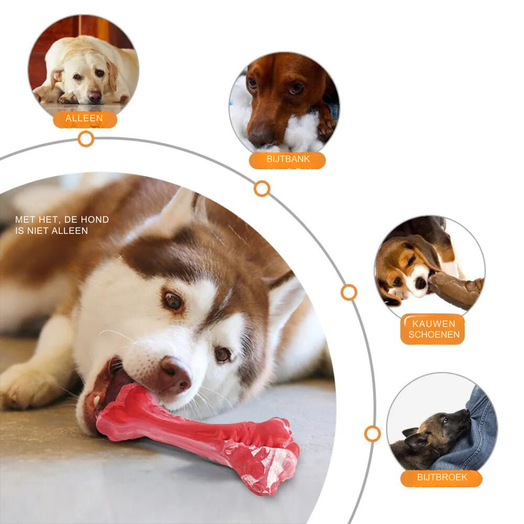 De Speelse Tandverzorger voor Honden - BuddyChew