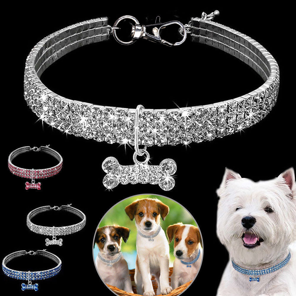 Premium Huisdieren Halsband - Bling It On