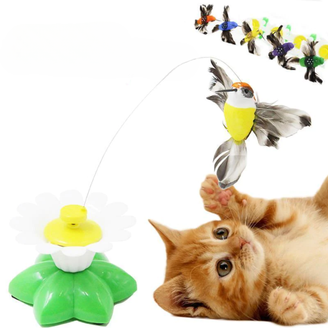 Interactief Vogelspeeltje voor Katten - Purrfect Play